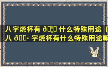 八字烧杯有 🦁 什么特殊用途（八 🕷 字烧杯有什么特殊用途嘛）